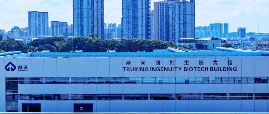 Почему хроматографические колонны Truking Ingenuity упрощают разделение и очистку